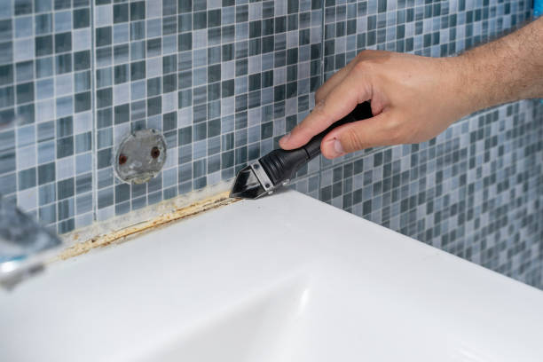 Best Localized Mold Remediation (e.g., coastal areas, humid climates) in Nassau Village Ratliff, FL